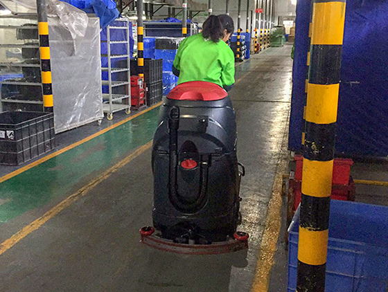 东凤伊莱特.jpg
